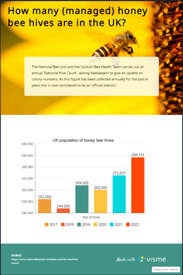 Bee hive numbers infographic
